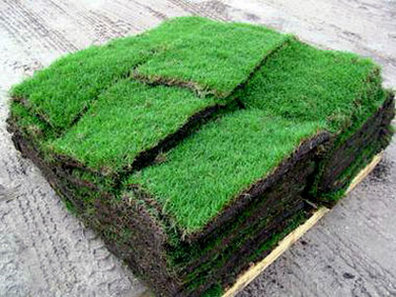 how much is a pallet of grass?  