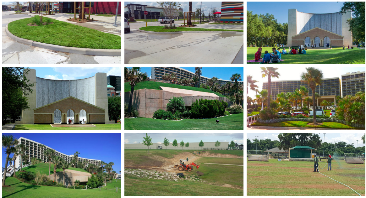 commercial sod grass installations in houston